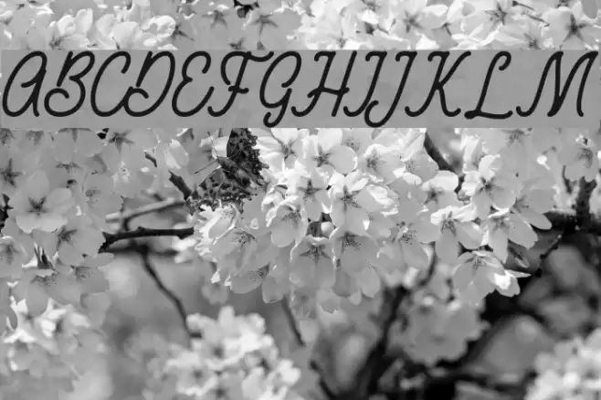 RustedOrlandoDemo Font examples