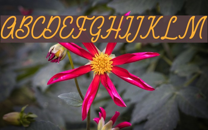 RustedOrlandoDemo Example 3