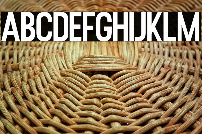 RustedOrlandoSansDemo Example 1