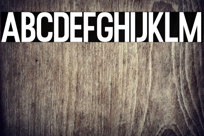 RustedOrlandoSansDemo Example 2