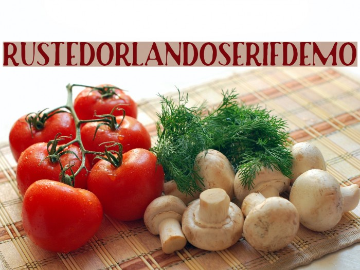 RustedOrlandoSerifDemo Example 1