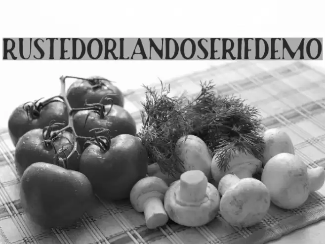 RustedOrlandoSerifDemo Font examples