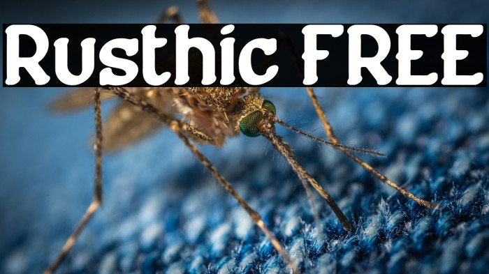 Rusthic FREE Example 2