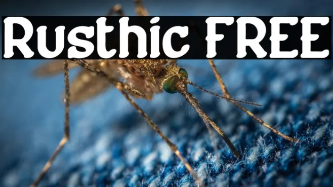 Rusthic FREE Example 2