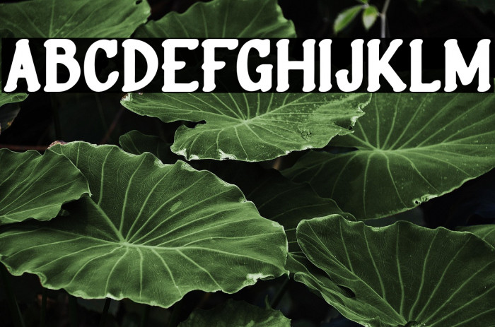 RusthicFREE Example 1