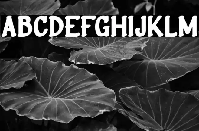 RusthicFREE Font examples