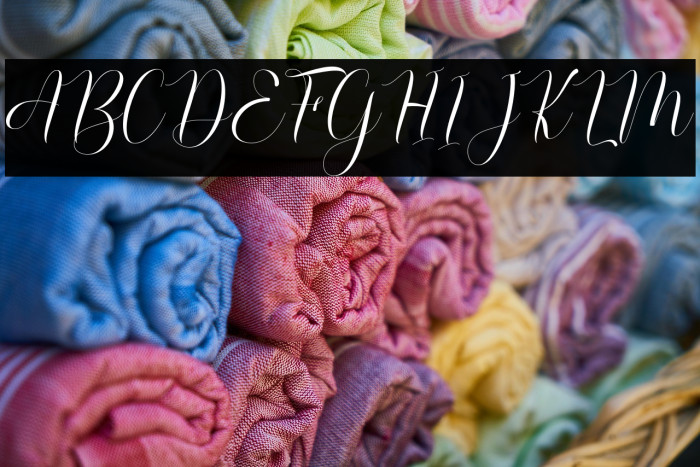 RusthinaScript Example 1