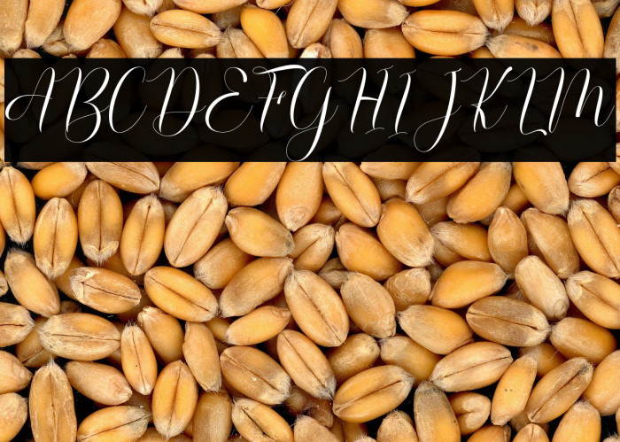 RusthinaScript Example 2