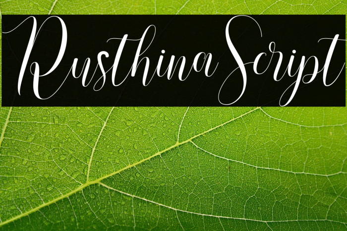 RusthinaScript Example 1