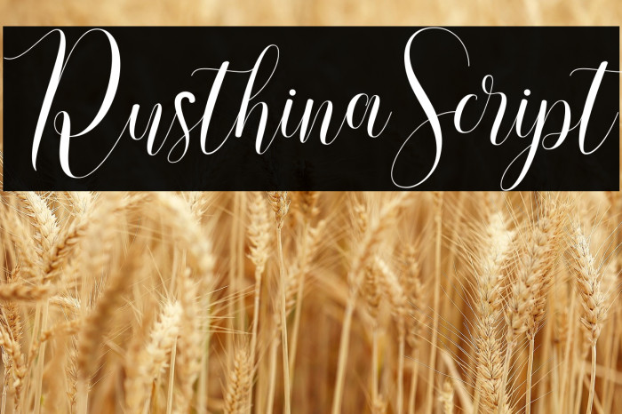 RusthinaScript Example 2