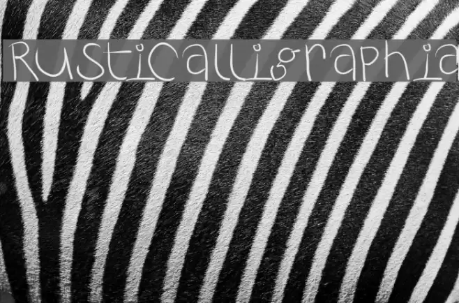 RustiCalligraphia Font examples