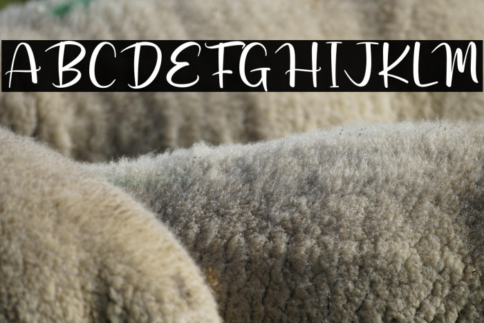 Rustic Barn Example 1