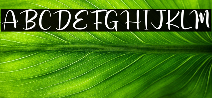 Rustic Barn Example 2