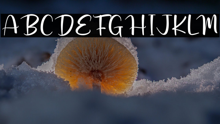 Rustic Barn Example 3