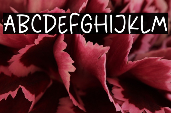 Rustic Farmer Example 1