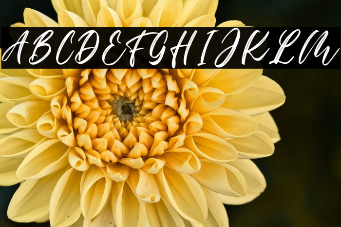 Rustic Glacier Example 2