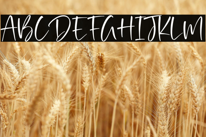 Rustic Homes Example 3