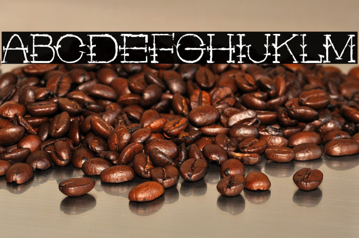 Rustic Man Example 2