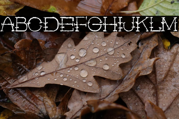 Rustic Man Example 3