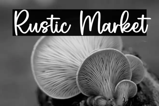 Rustic Market Шрифта examples