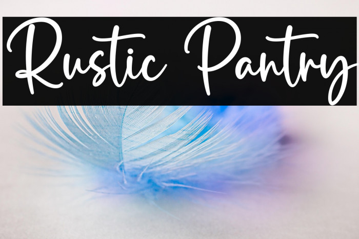 Rustic Pantry Example 2