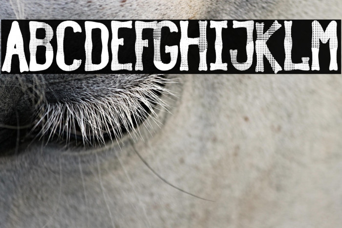 Rustic Revolution Example 2