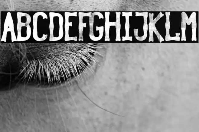 Rustic Revolution Font examples