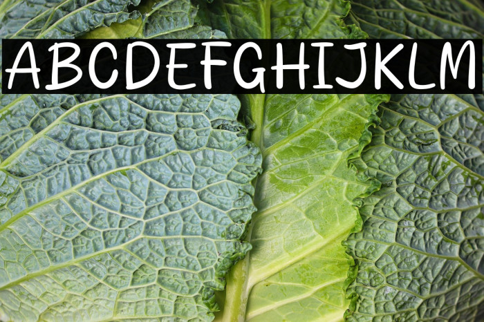 Rustic Story Example 1