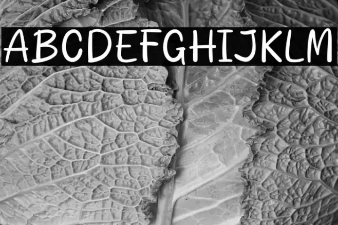 Rustic Story Caratteri examples