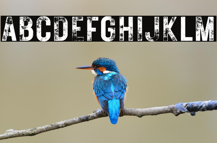 RusticPrinted-Demo Example 1