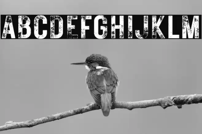 RusticPrinted-Demo Font examples