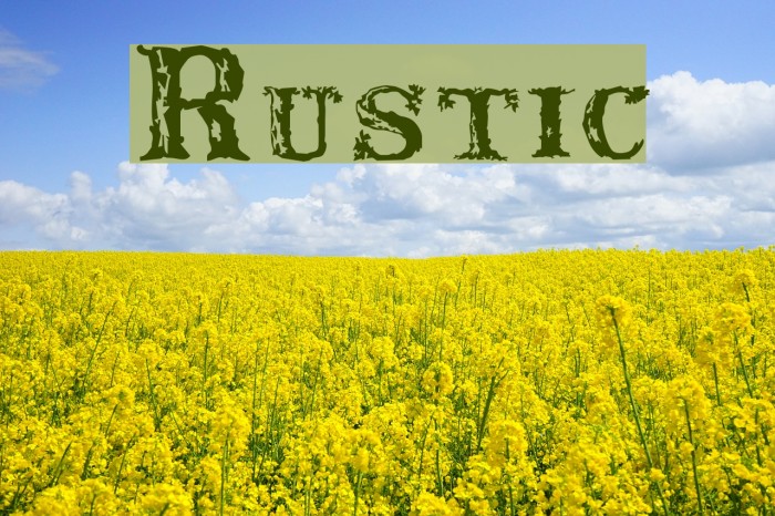 Rustic Font examples