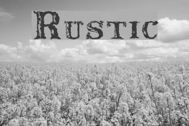 Rustic Font examples