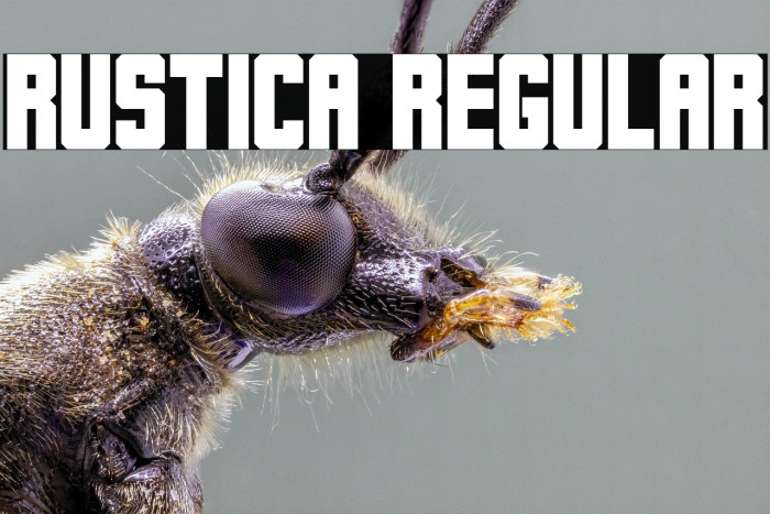 Rustica Regular Example 3