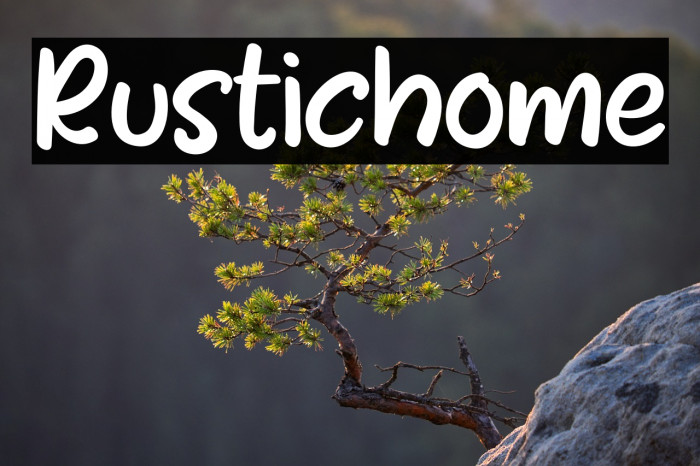 Rustichome Example 2