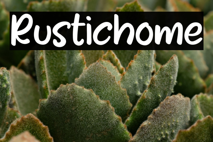 Rustichome Example 3