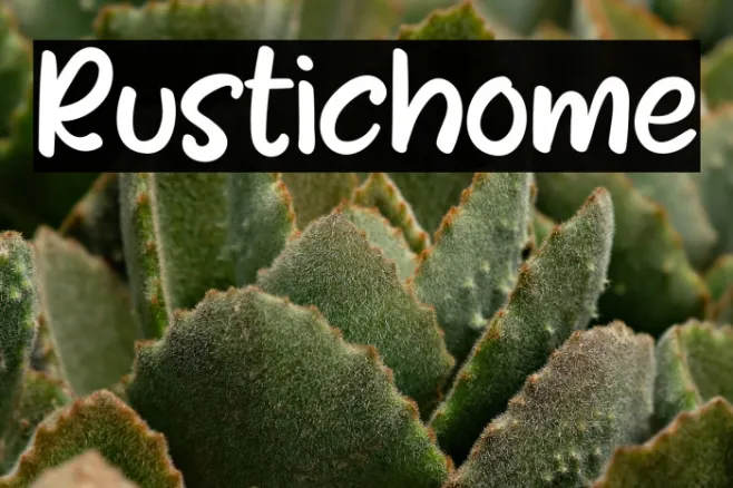 Rustichome Example 3