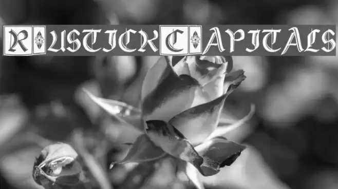 Rustick_Capitals Font examples