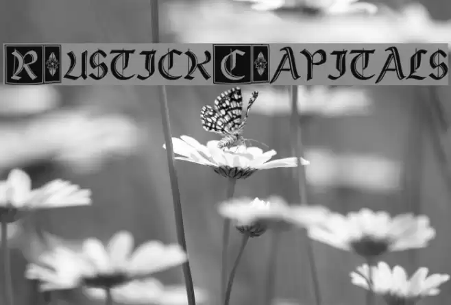 Rustick_Capitals Font examples