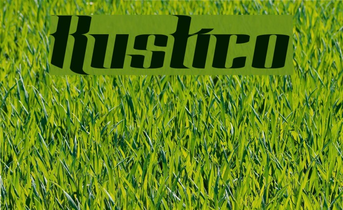 Rustico Font examples
