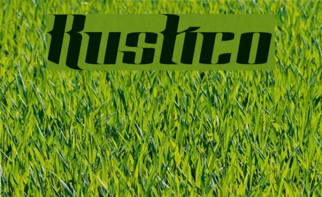 Rustico Example 2
