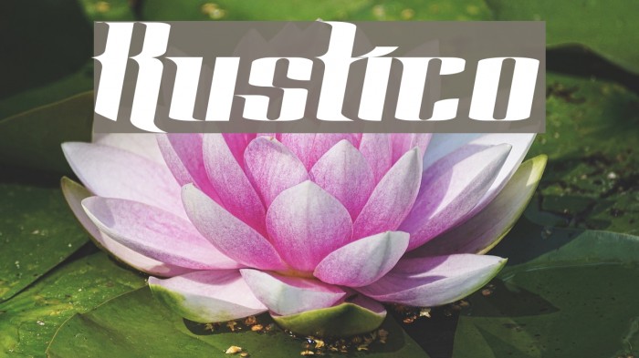 Rustico Font examples