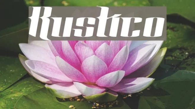 Rustico Example 3