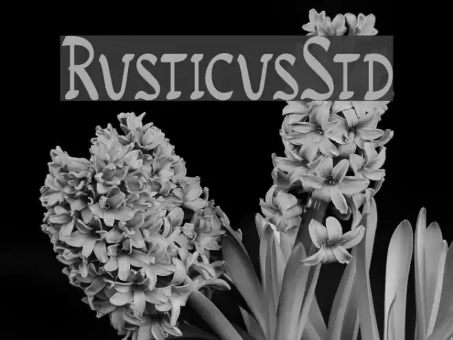 RusticusStd Fuentes examples