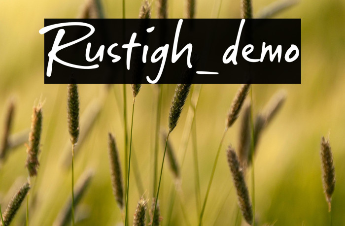 Rustigh_demo Example 1