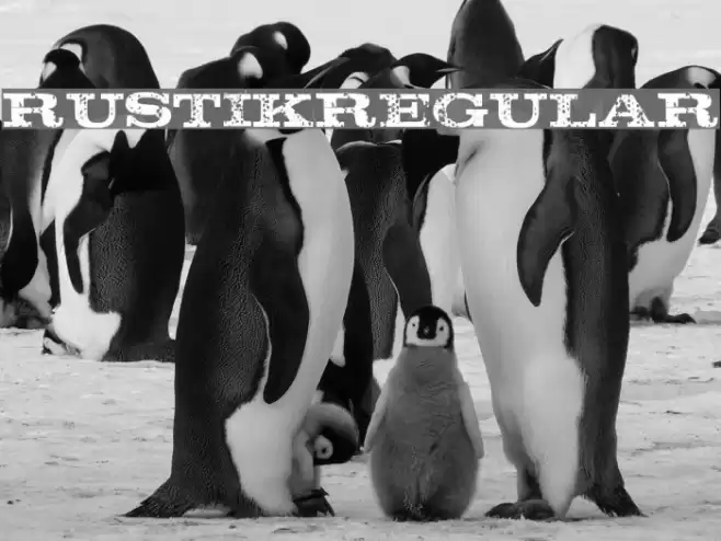 Rustik-Regular Font examples