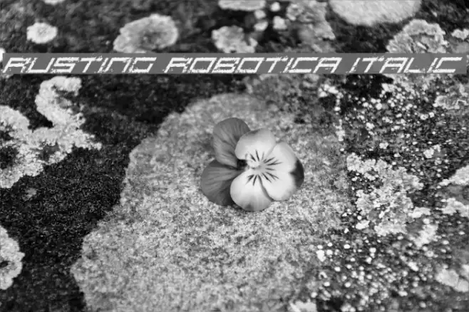 Rusting Robotica Italic Font examples