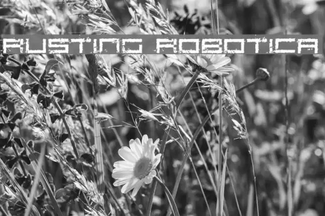 Rusting Robotica Font examples