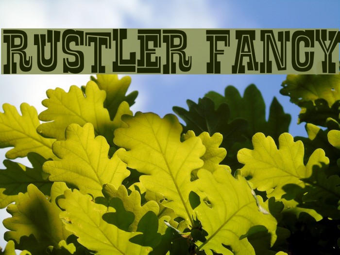 Rustler Fancy Font examples