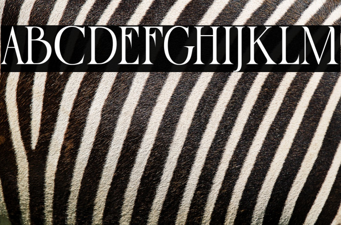 RustlerBarter-Regular Example 2